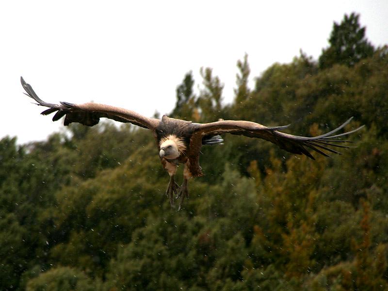N SPANJE 2012 400D 181